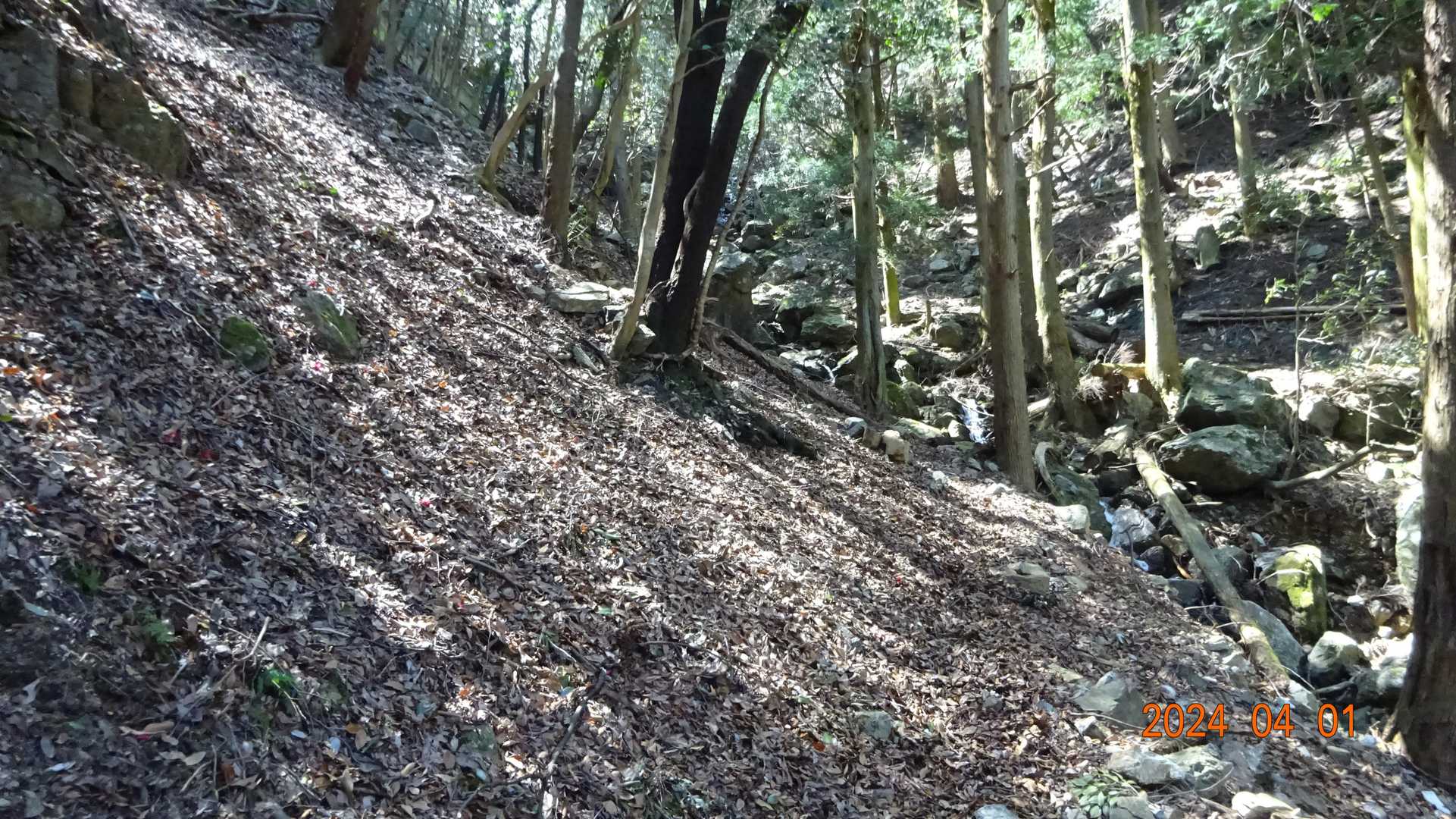 釜ヶ谷山 周回コースの写真