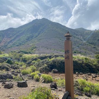 稲星山からは誰にも会いませんでしたが、ここまできてようやく落ちつきました