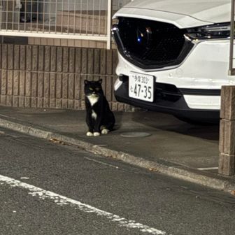 Tom