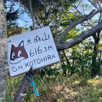 ラストは大麻山