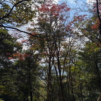 さて岳滅鬼山に向かう
紅葉もちらほら
