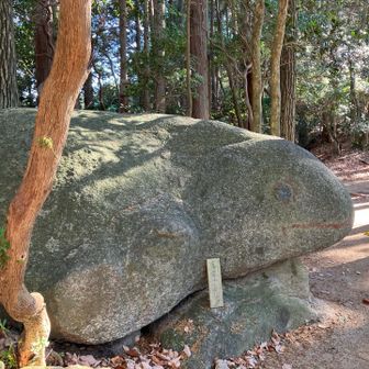 カエル石🐸