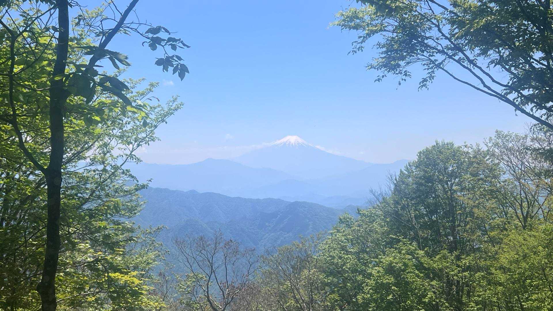 大沢山からの眺め。三頭山からよりも富士山が近くに見える。こんなに眺めがよい山頂だったとは記憶になかった。また来ることがあればここでお昼休憩にしようと思う