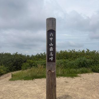 いきなり山頂写真🔺

ここんとこ週末は雨が続いてたせいか、暑いのに六甲山登ってる人が意外と多かった😳

富士登山の練習に来てるグループや、やたら焼肉ごりちゃんを推してくるお兄さんがいてわちゃわちゃしてたw