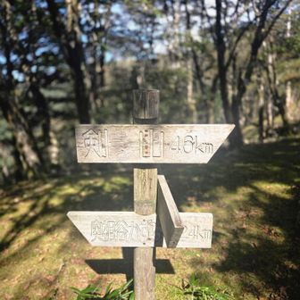 ハーフ下山分岐
今日は左へ↙️
今度は剣山まで！