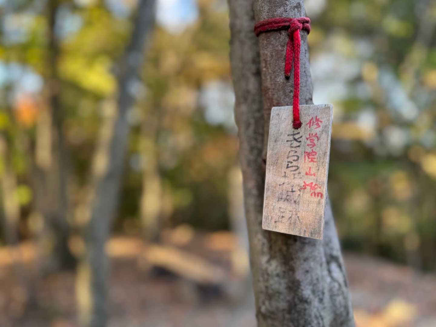 修学院山に登頂✌️