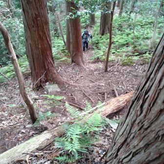 あんな下から登りました