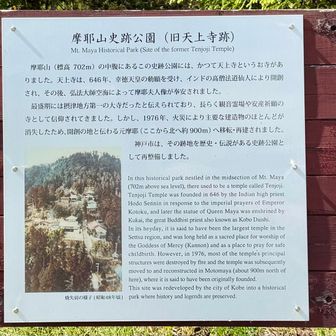 登り切ったところに摩耶山史跡公園
この急な登りは修行の山だったってことですかね