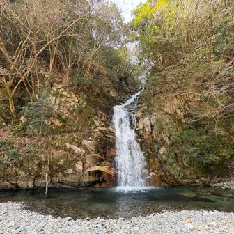 渡渉しながらくだったさきにあった長尾滝。
実は、ここに着く直前に10 m程のハシゴ降りがありました。

その苦労の分、綺麗に見えたかも😄