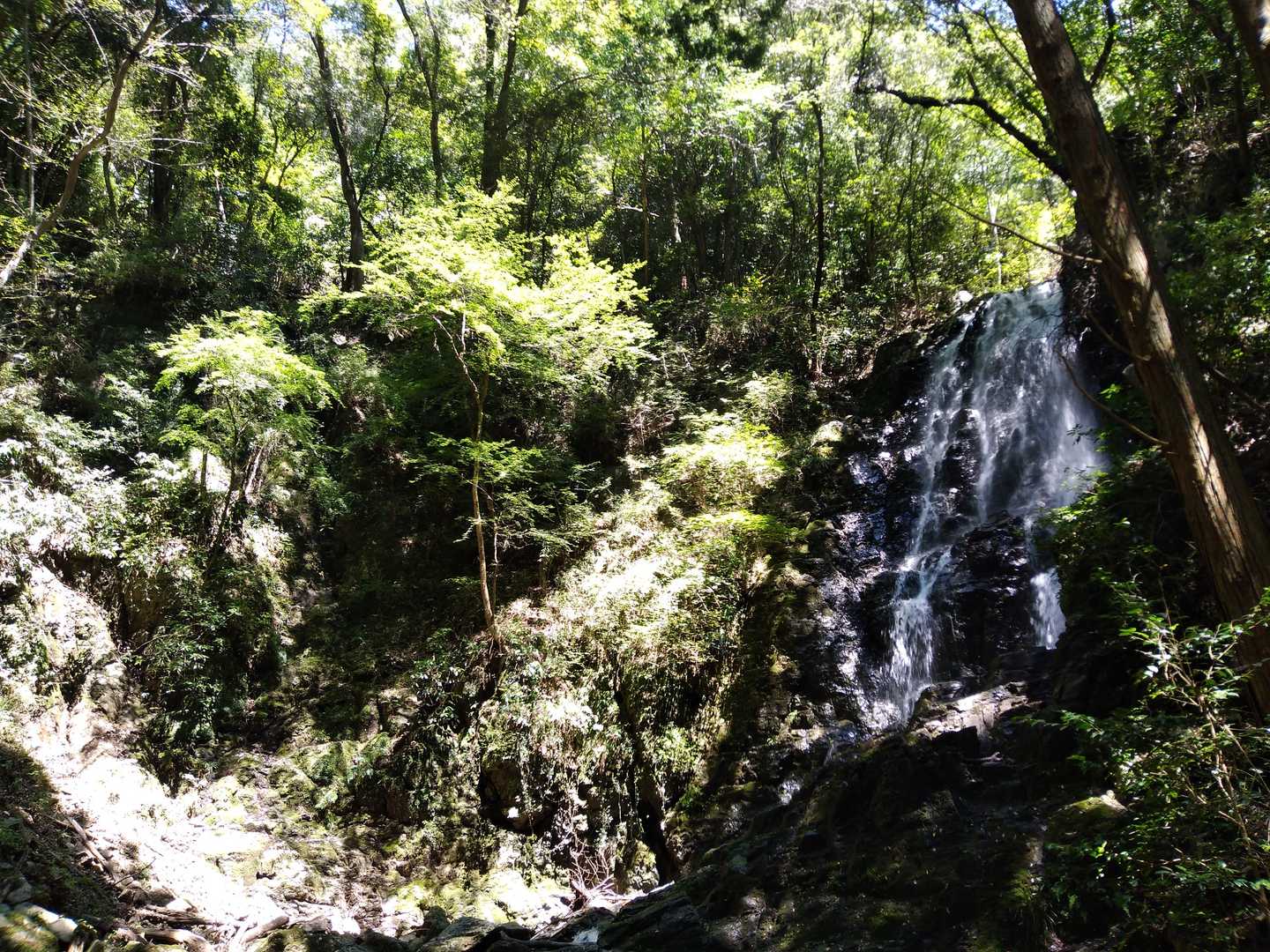 粟ヶ岳 往復コースの写真