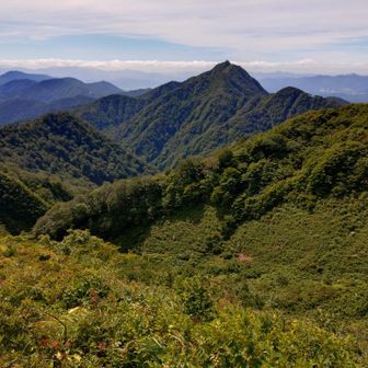 谷から山肌に取り付いて
ジャングルを抜け振り返る
同じコースを変えることは不可能だと思った🙄今までで一番ヤバい
木々の枝や植物を押し広げながら
急登岩場を登っていく
