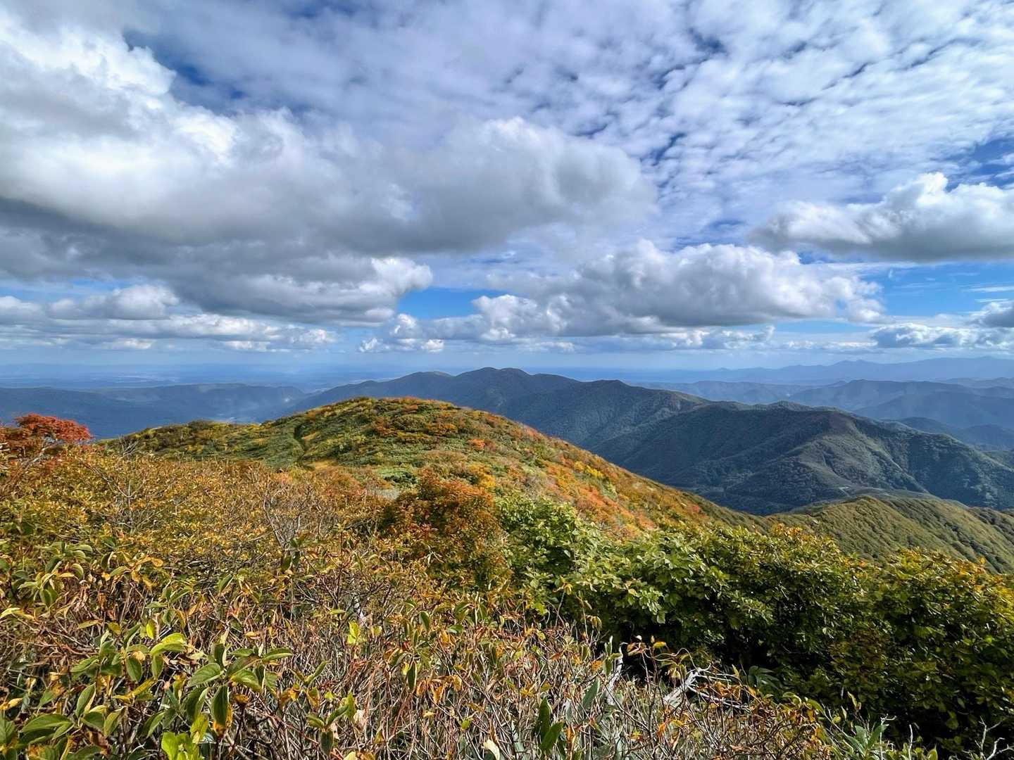 空が近い気がします😄　秋の空と紅葉🍁が良い感じでした🙆🏻