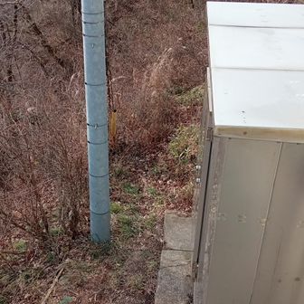 南外口に至る登山道獣道状況?