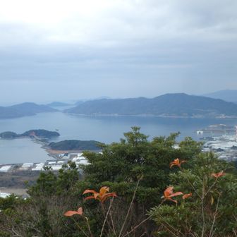 太華山（大島半島）