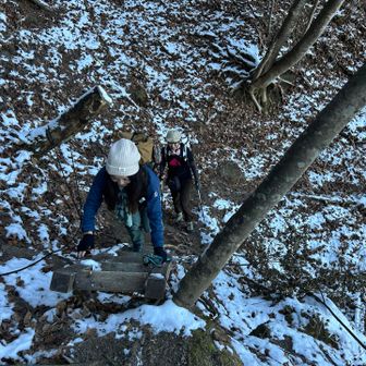 熟女パブ🥃2号
ハシゴ登ります