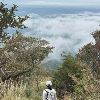 下山してたら雲海なってきた
