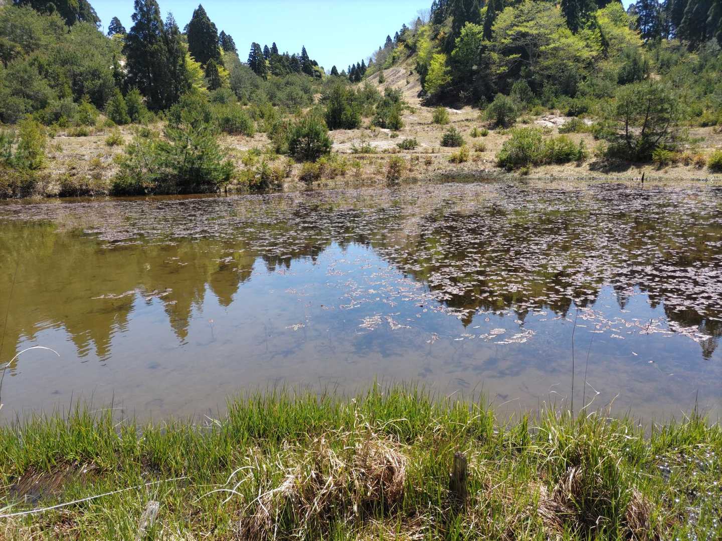 金糞峠-コヤマノ岳-武奈ヶ岳-北比良峠-カモシカ台 周回コースの写真