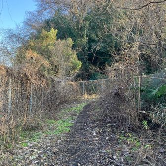 楽田山の入口付近。なんか出てきそうな、荒れた感じ。