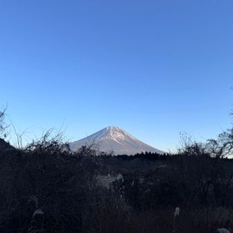 明るいうちに東海自然道まで降りてこられて一安心