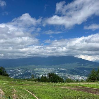 やはり八ヶ岳いませぬw