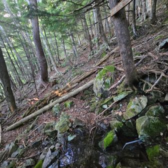 途中の水場で、下山中に滑って怪我をされた方と遭遇💦
腕なので、痛み止めだけ飲んで何とか下山されるとのこと…心配😖