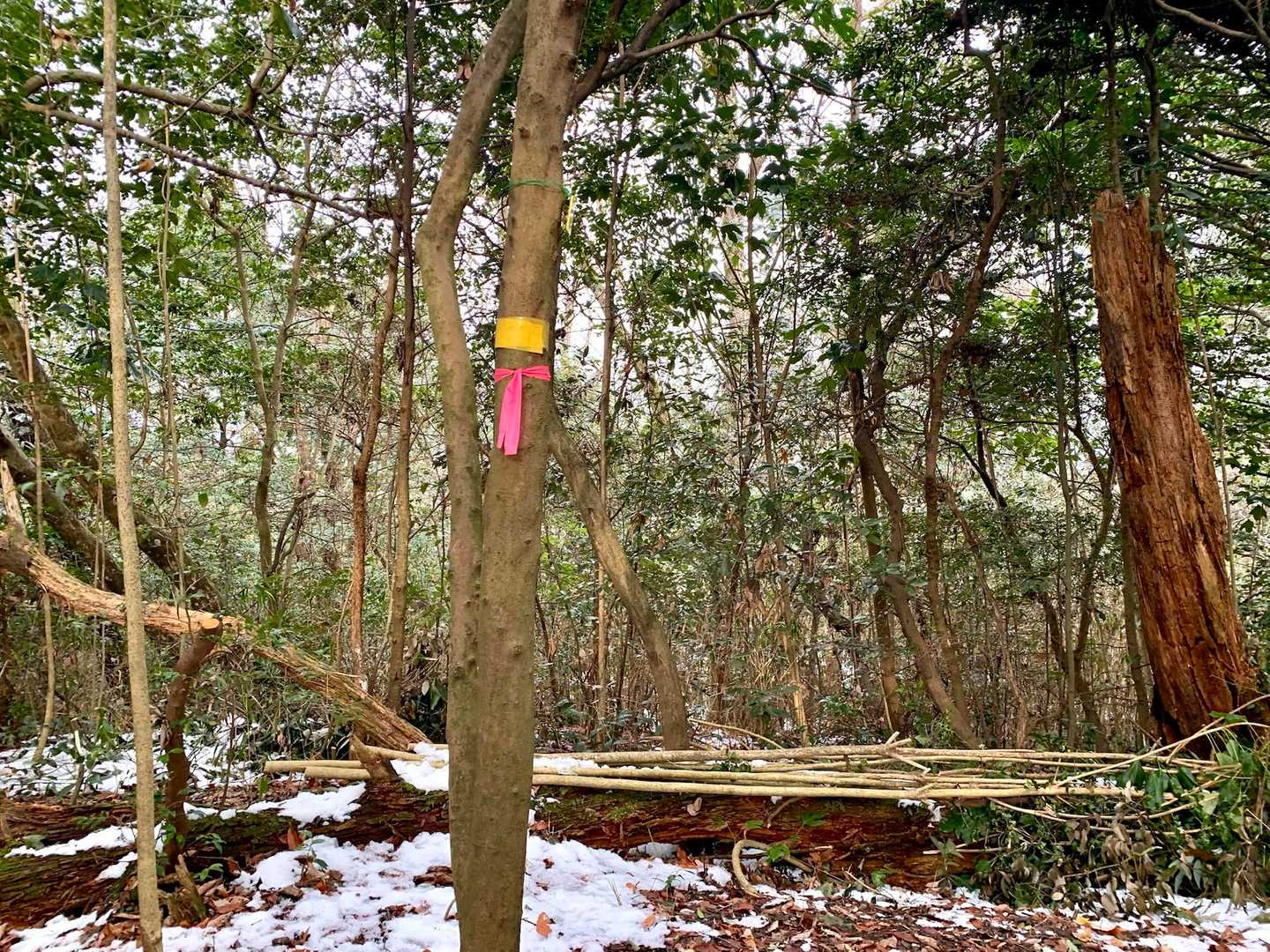 すぐに山頂