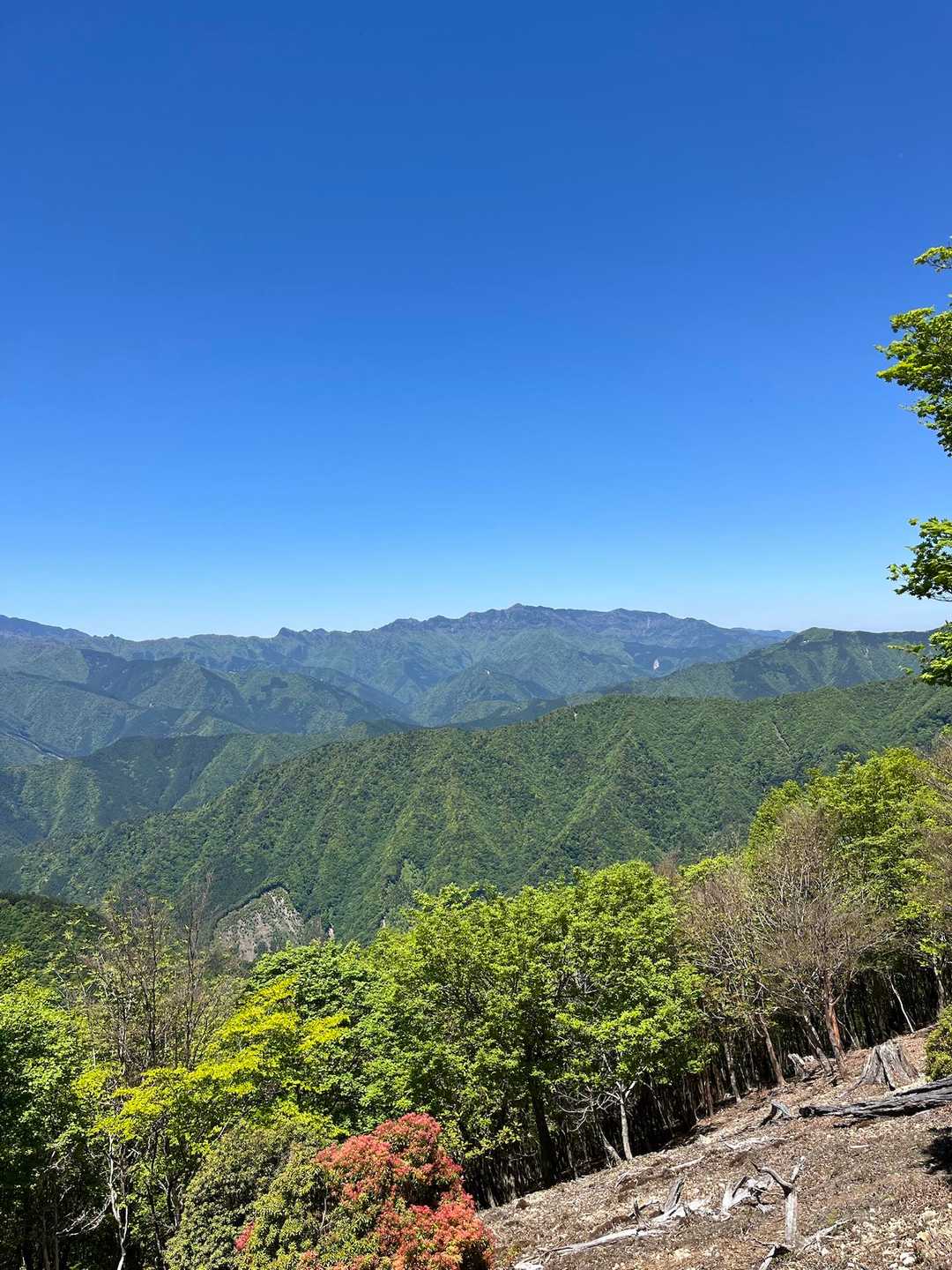 正面には奥駈道の稜線がドーン🤩