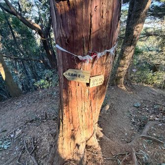 右側の唐沢山＆地蔵峰をそのまま進むと高尾駅へ
左側の太鼓曲輪尾根を進むと八王子城跡へ繋がります