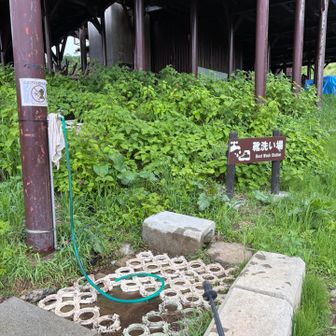 親切だわ