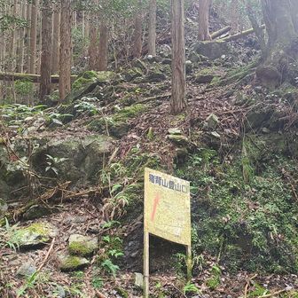 ⛰️近江百山⛰️ 猪背山・黒山 / araiotouの登山データ | YAMAP