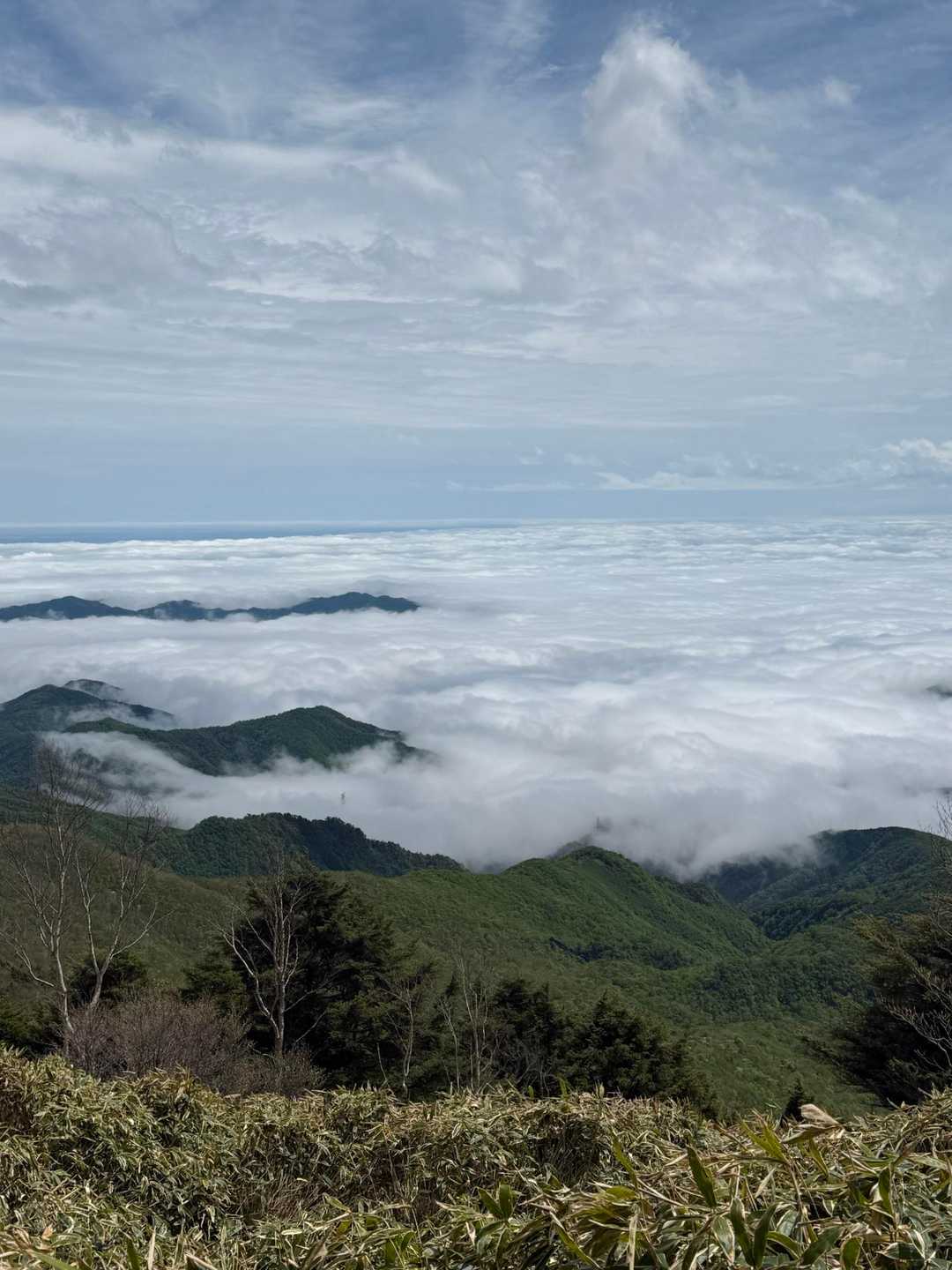 前袈裟丸山 往復コースの写真