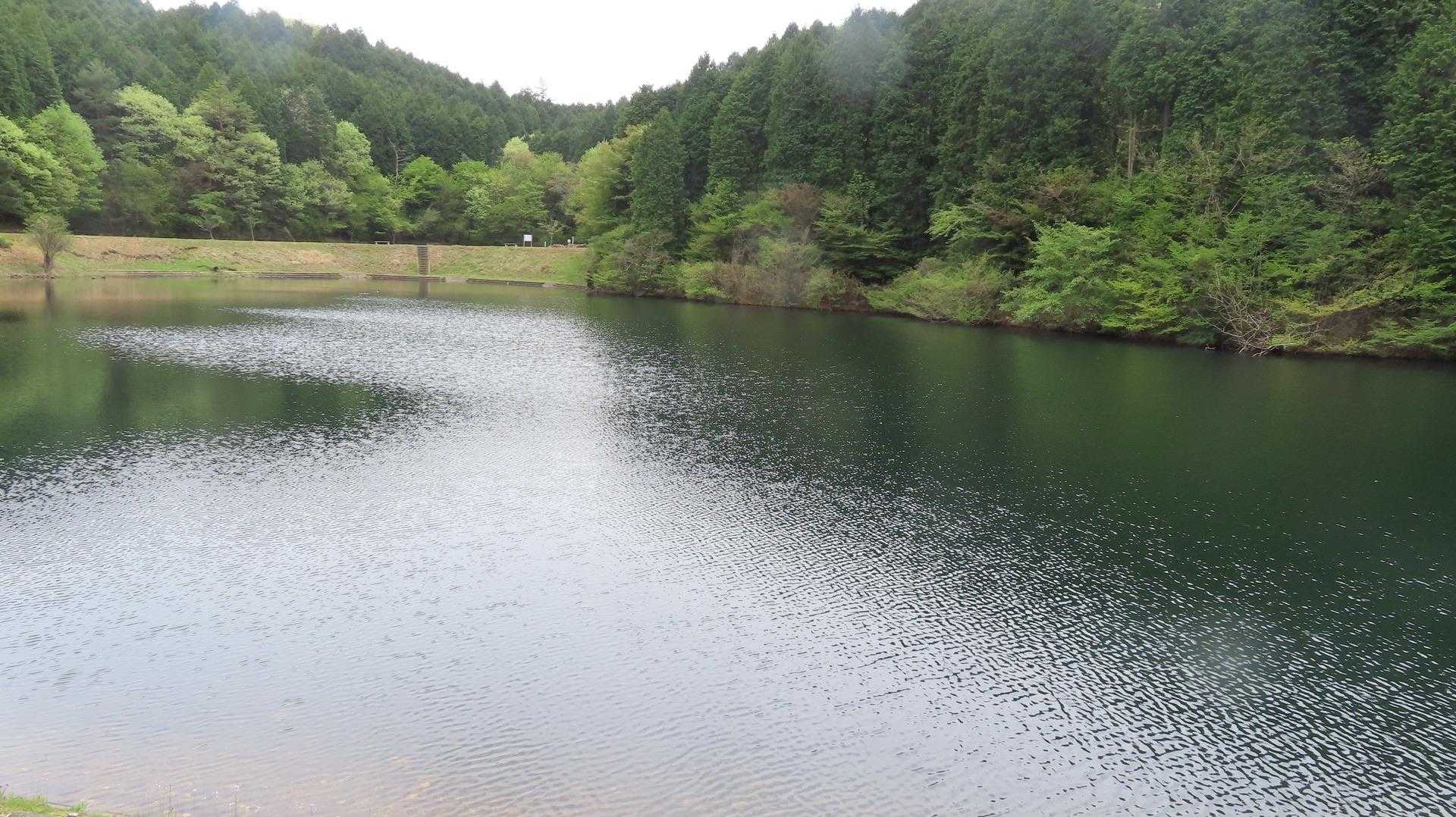 笠原富士 周回コースの写真