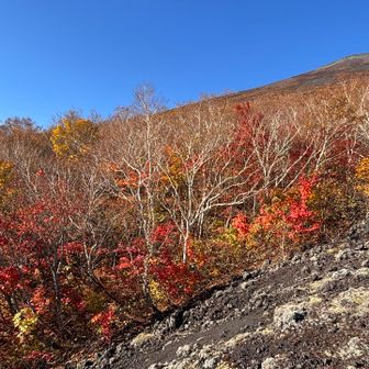 第2噴出口の周りも紅葉真っ盛り