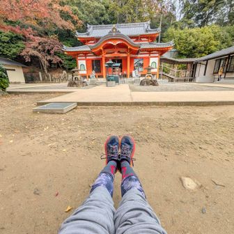 中山寺奥之院。
ベンチが木製から樹脂製に代わってました。
数秒休憩。
