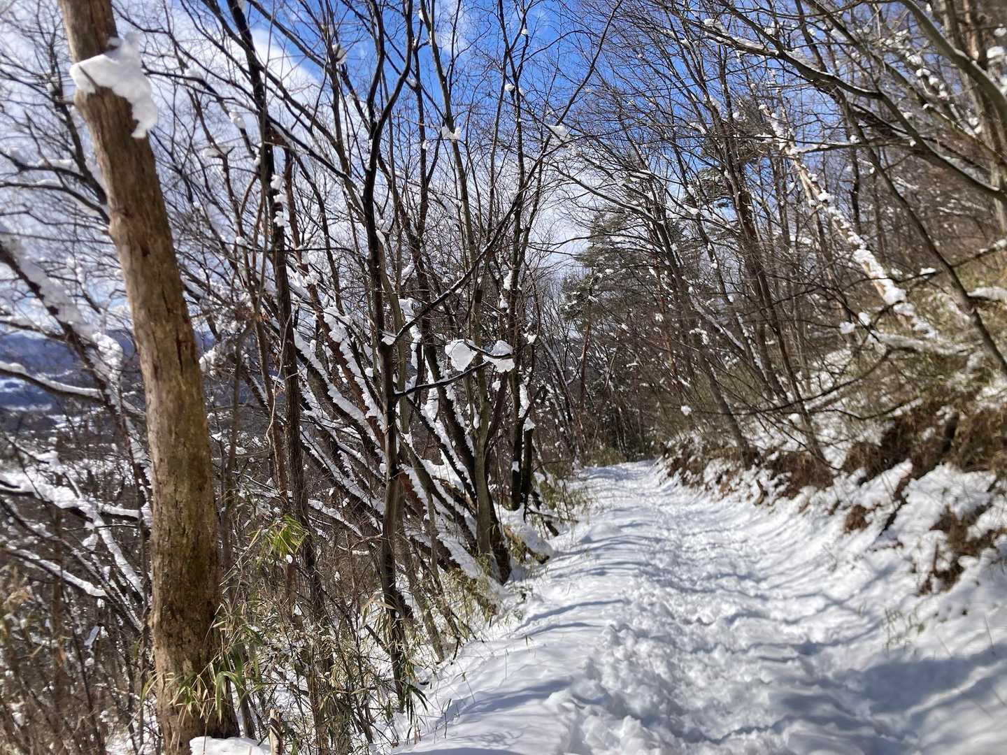 林道✨