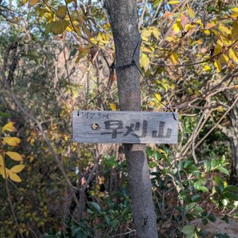 28！
これで星田60連山コンプリート！！