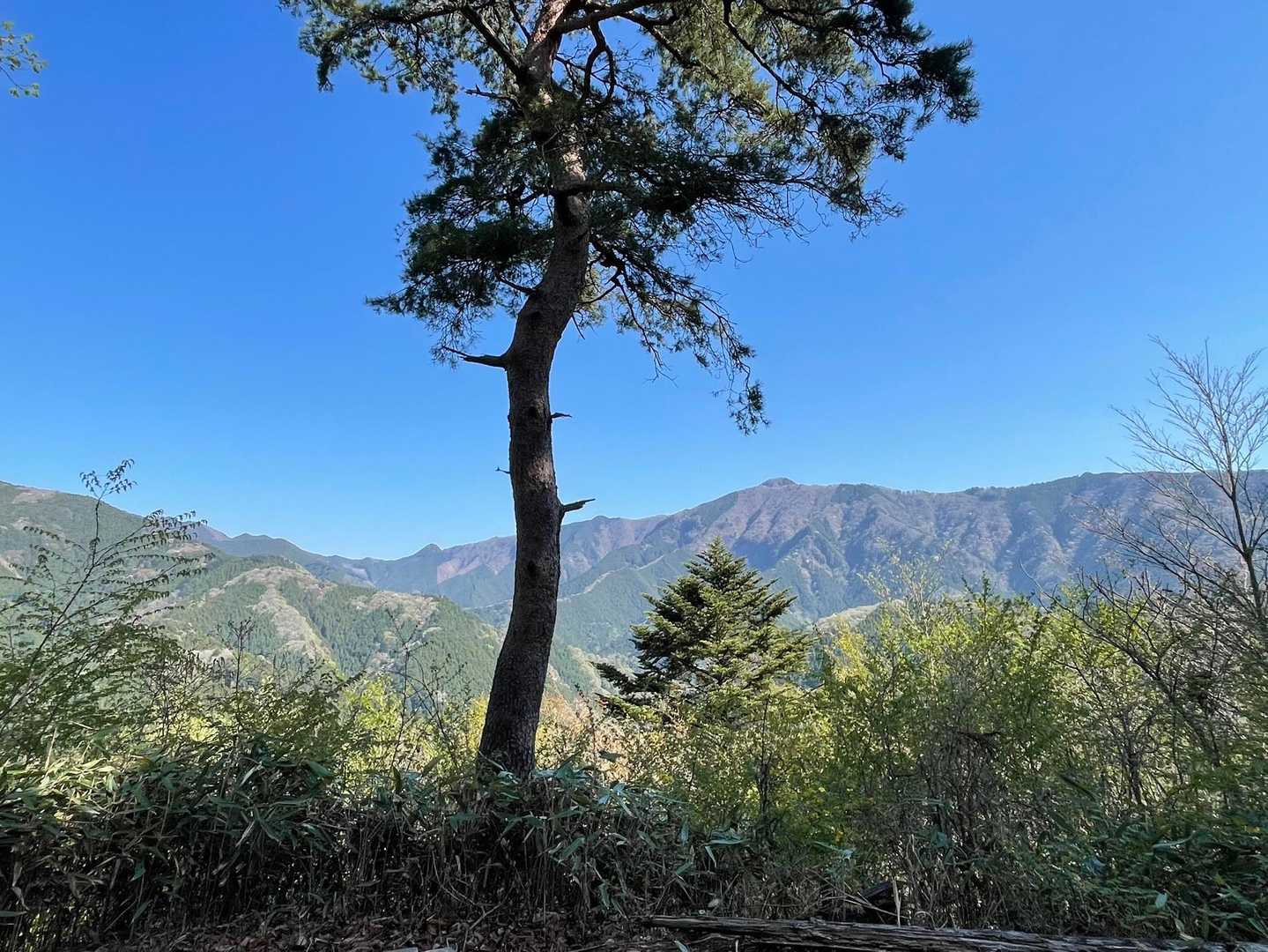 快晴の大岳山