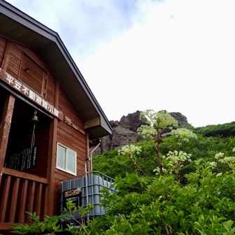 岩手山周囲の小屋は全て綺麗ですよね　平笠不動小屋　雨水のタンクがあった
大きなセリ科はイワテトウキかな