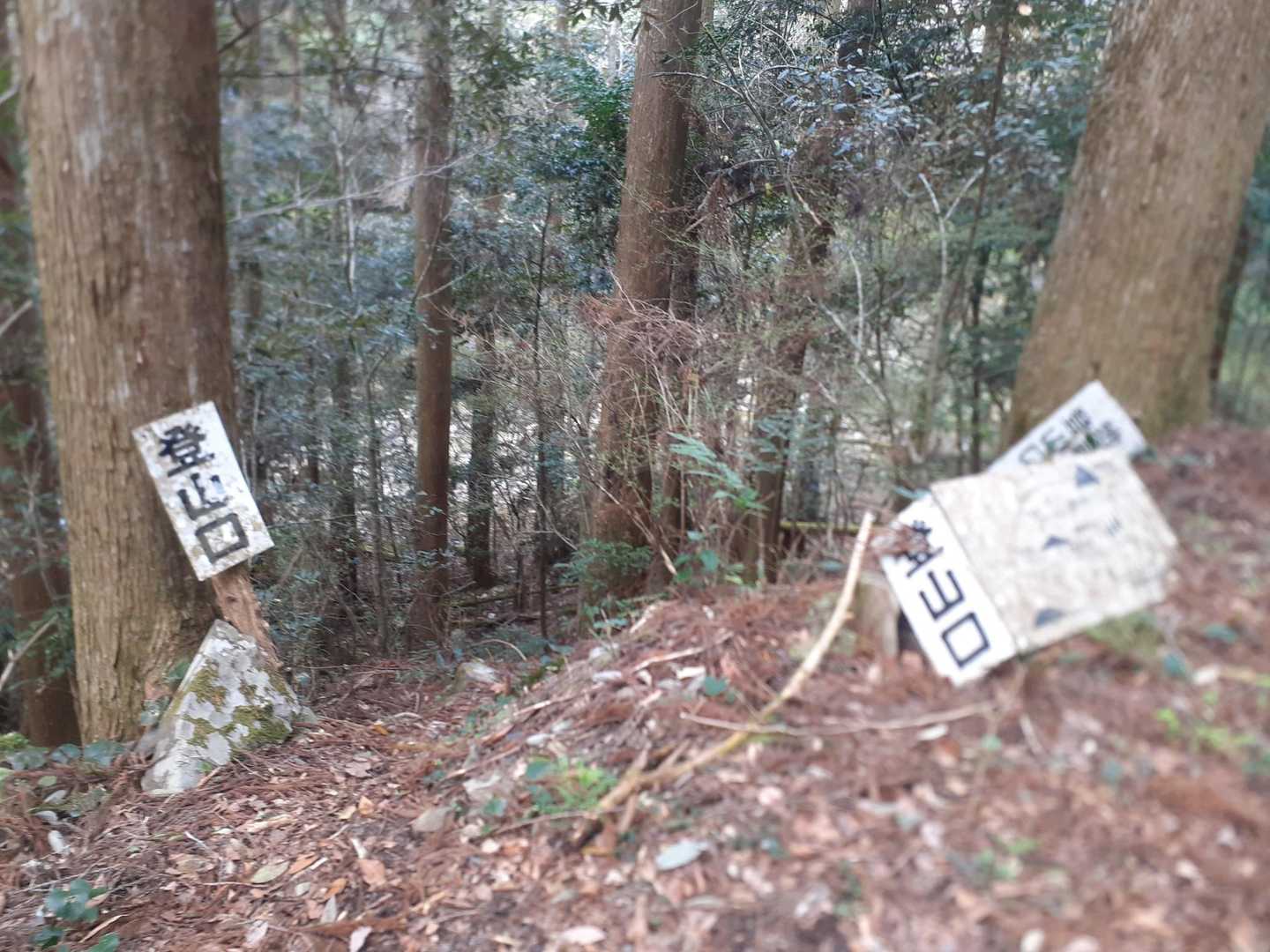他のユーザーのレポートによると、橋を渡れば、川を渡る必要のない別の登山口があるそうです。