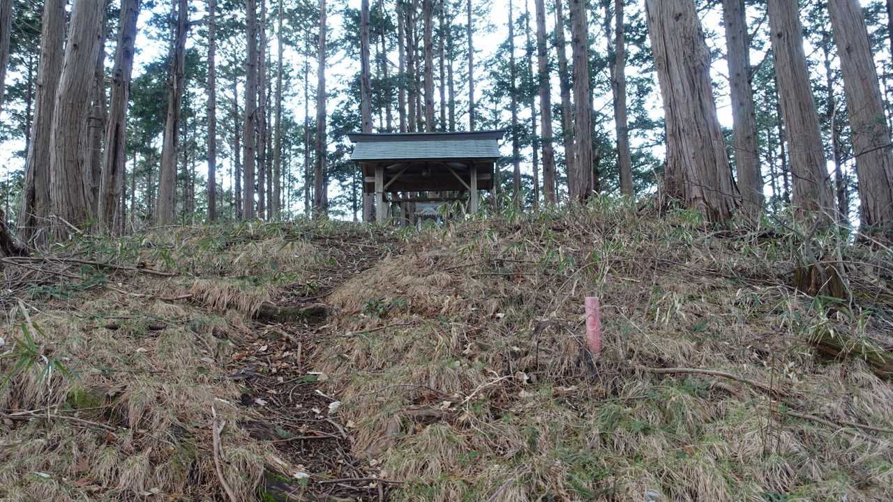 山頂の神社が見えて来ました。
