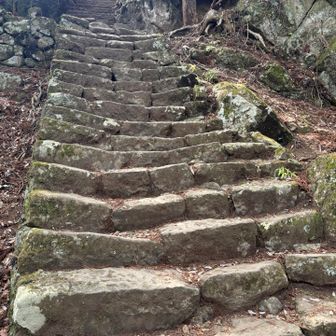 男坂の階段。傾斜があるせいか真っ直ぐ。