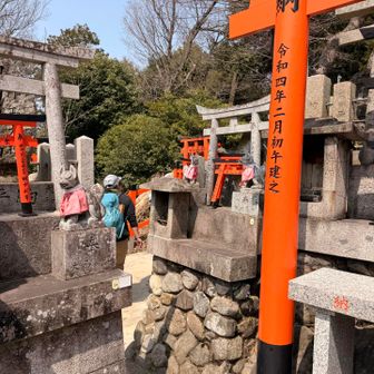 ここをクネクネと
左右へと進むと
トレイルらしい道に出る。