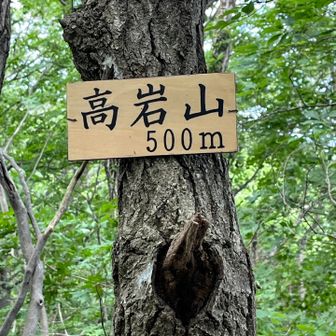 （#9 高岩山）