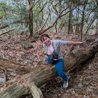 わあー❣️
馬🐴みたい❣️
ってテンションあがって、
パカパカしたけど、
写真でみたら
馬っぽくないし、
ただのメッチャ笑顔の🍄だったわ💦