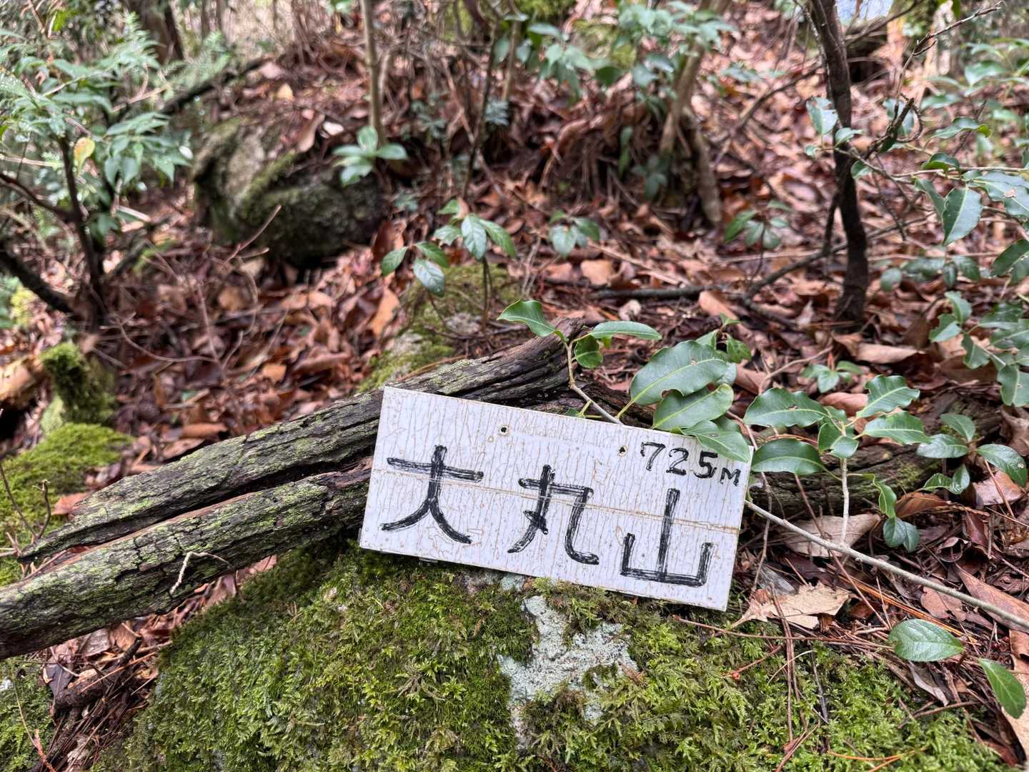 ここに何秒滞在したかしら
事務的な写し方でごめんよ