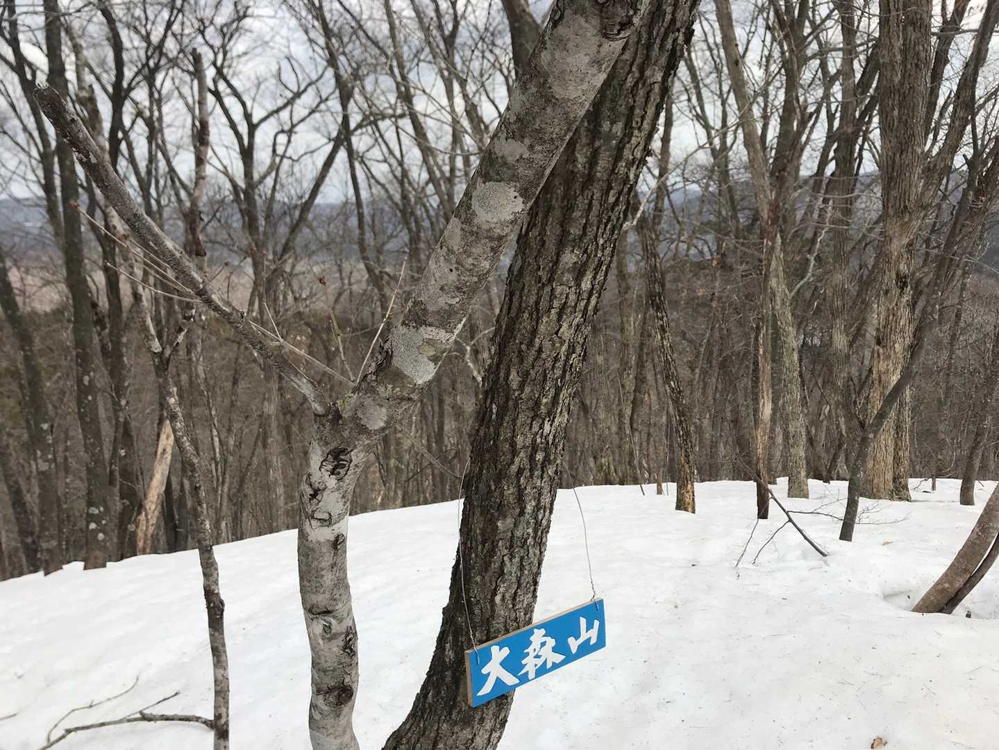 大森山（岩手県花巻市）の写真