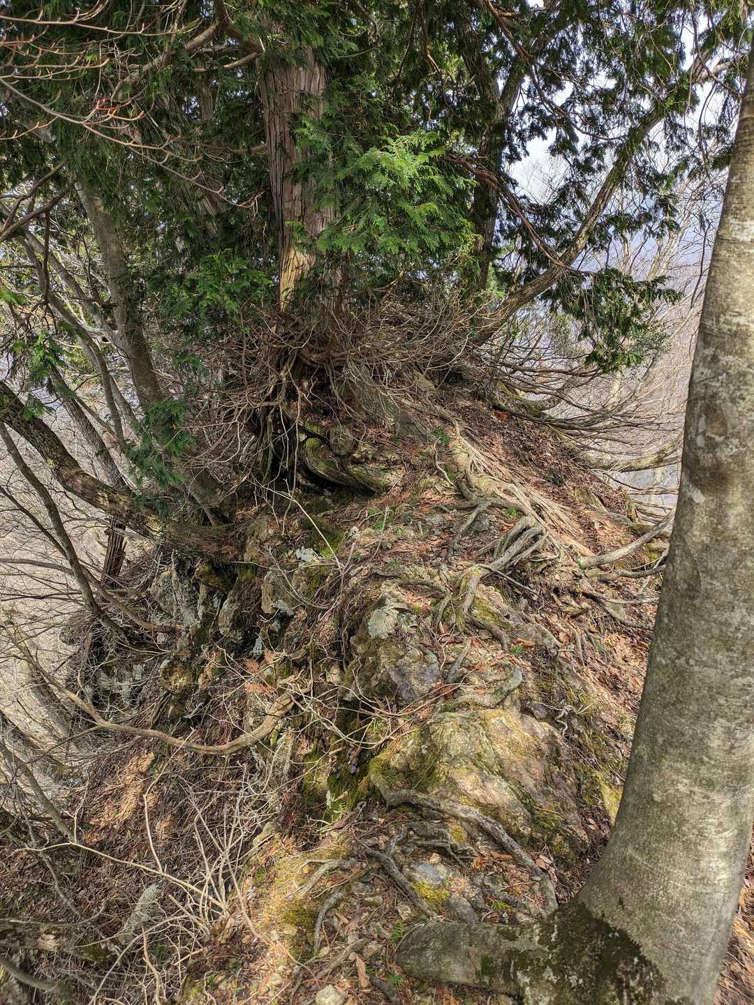 登り返し＋痩せ尾根…😰