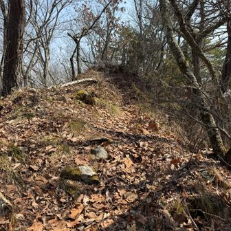 鞍骨山からは細い尾根歩きです