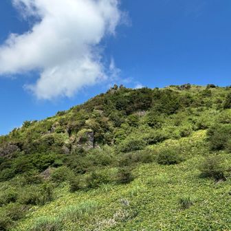八月の ふくち山