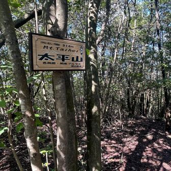 １１　太平山
⛰️⛰️⛰️⛰️⛰️  ⛰️⛰️⛰️⛰️⛰️
⛰️